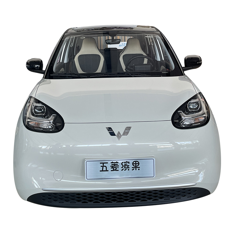 Wuling Bingo Mini EV 2023 Version Populaire Prix Pas Cher Voitures d'Occasion